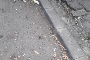 Un cititor TION acuză Brantner că face curăţenie pe străzi de ochii lumii: „Rezultatul este execrabil”