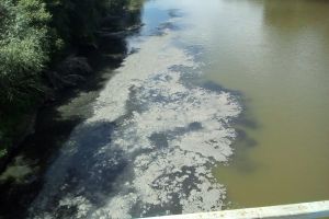 FOTO. Un nou caz de poluare pe Someş. Se sesizează cineva?