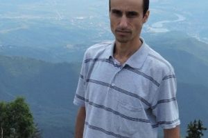 Cum a ajuns VIPERA de MUNTE la Piteşti şi cât de periculoasă este?