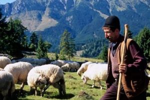 Bani pentru micii fermieri