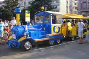 „Frumos” exemplu! Amendată pentru că arunca pe jos coji de seminţe în timp ce era cu copilul în trenuleţul de agrement