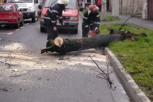 Sfaturi utile de la ISU Harghita: COMPORTAREA ÎN CAZ DE FURTUNI