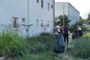 Constantenii din campusul Henri Coanda au fost pusi la treaba