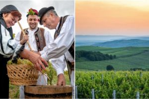 Compania Jidvei lansează cea de-a V-a ediţie a campaniei “Must de la Jidvei”