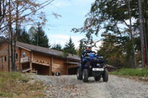 Sfaturile jandarmilor montani, pentru a evita atacurile ursilor