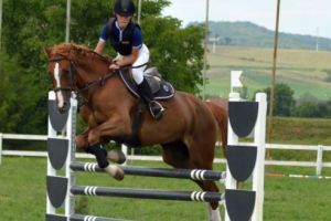 Un nou Regal Ecvestru la Târgu-Mureş
