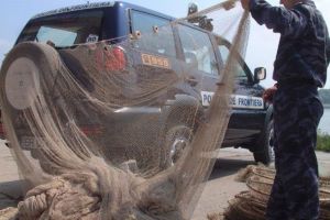 Brailenii, pescari ilegali inraiti / Prinsi cu pestele in plasa