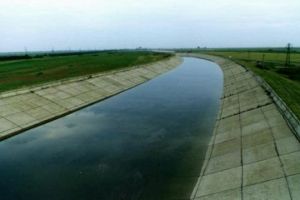 Cadavrul unui batran putrezea intr-un canal de irigatii