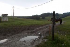 Pârtia de schi situată pe Dealul Taberei din Întorsura Buzăului, raiul animalelor din zonă