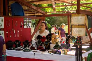 Tezaurul istoriei locale va fi prezentat în cadrul ediţiei din acest an a Zilelor Culturale Partium