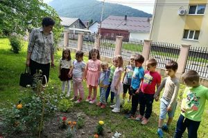 Proiect de educaţie ecologică, desfăşurat la Școala „Teodor Bălan” Gura Humorului