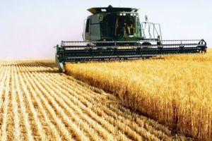 AGRICULTURA din Argeş, la PĂMÂNT!