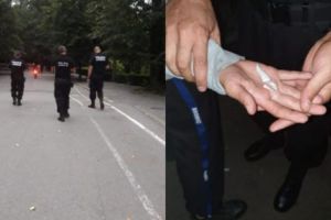 Fumau etnobotanice în Trivale