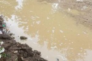 Strada Albastrelelor din Cazasu inundata dupa o scurta ploaie de vara / Se asteapta ca pamantul sa isi faca treaba, absorbind apa in exces