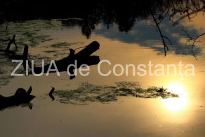 centrulnatura.ro: Imaginatia