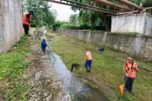 A început acţiunea de curăţare a albiilor pârâurilor din Sfântu Gheorghe