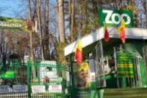 Noi motive pentru a vizita grădina zoologică din Reşiţa! Ce „surprize vii” vă aşteaptă?