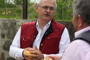Proiect de retragere a titlului de cetăţean de onoare acordat lui Dragnea, respins la Teleorman