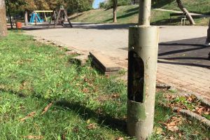 ATENȚIE, evitaţi aceste locuri! Tratamente împotriva mucegaiului în mai multe zone din Arad