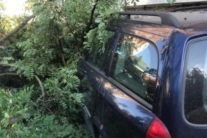 FOTO-ULTIMĂ ORĂ: Două maşini avariate de un copac căzut, în Focşani