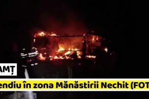 NEAMȚ: Incendiu în zona Mănăstirii Nechit (FOTO)