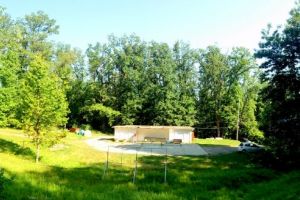 August plin de cultură la ”Pădurea rotundă”