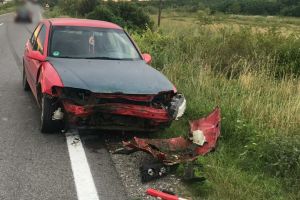 Cabalină accidentată de un tânăr