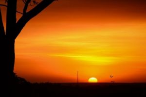 Europa se topeşte sub valul de caniculă. Țările în care s-au înregistrat temperaturi record