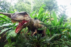 Haţeg – Festivalul Dinozaurilor 5