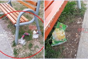 FOTO. Mizerie de nedescris într-un parc din municipiul Satu Mare
