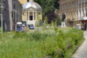 Grijă faţă de turişti! Curăţenie înainte de montarea şantierului în Băile Herculane