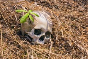 Macabru! Craniu de om descoperit de o femeie, într-o zonă împădurită de lângă oraşul Bălan