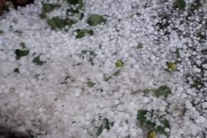 Alertă de ultimă oră pentru o comună din Botoşani. Cod Galben de grindină!