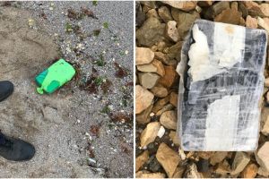 Tone de cocaina, capturate de Garda de Coasta americana