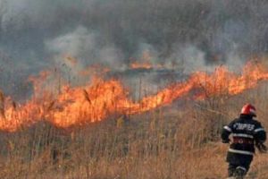 Un nou incendiu de vegetaţie uscată la Reghin