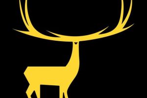 Cine va prezenta festivalul internaţional Cerbul de Aur?