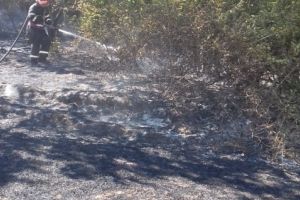 Incendiu de vegetatie pe zeci de hectare, in judetul Tulcea (galerie + video)
