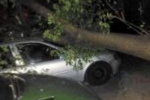 Bilanţul orelor de cod portocaliu: copaci căzuţi pe maşini şi localităţi fără energie electrică