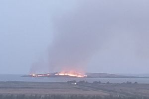 Incendiu stins in zona strict protejata Insula Popina, din Delta Dunarii