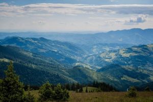 Se dau bani ca să nu se mai taie pădurile. Ioan Moniţa:  Comuna Romuli va primi anual 140.000 de euro