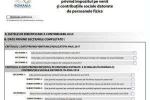 Ultimele zile pentru depunerea Declaraţiei unice
