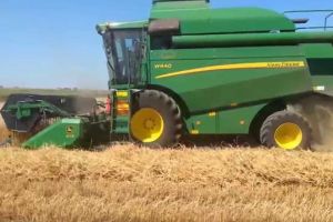 ISU Harghita explică cum se face recoltarea cerealelor păioase şi igienizarea terenurilor arabile