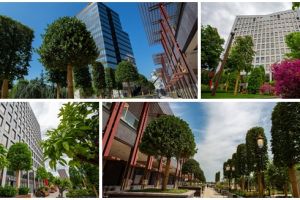 În curând vă veţi putea relaxa în cel mai spectaculos parc din oraş – Iulius Gardens