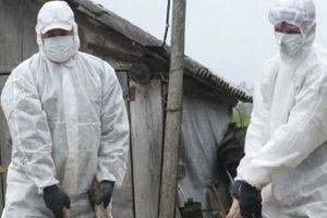 Un nou caz de pestă porcină confirmat în judeţul Satu Mare