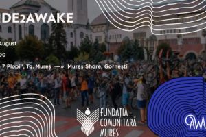 Road to AWAKE