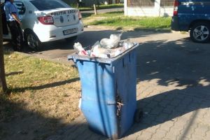 Colectaţi selectiv! Poliţia Locală face controale în cartiere împreună cu Retim şi ADID