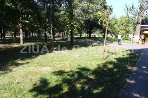 Iry Trans SRL a batut palma cu Primaria Constanta pentru reamenajarea de spatii verzi (document)