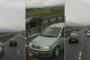 VIDEO – Șofer pe contrasens pe autostrada Sibiu – Sebeş. TIR-iştii l-au făcut să întoarcă