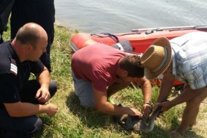 Lebădă prinsă într-un cârlig de pescuit pe lacul Dumbrăviţa, salvată de pompierii braşoveni (Foto)