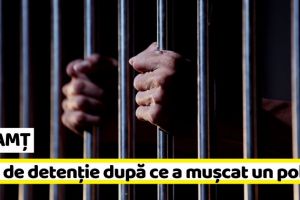 NEAMȚ: 1 an de închisoare pentru că a muşcat un poliţist